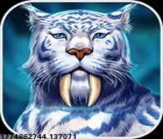 猫和老鼠官方手游